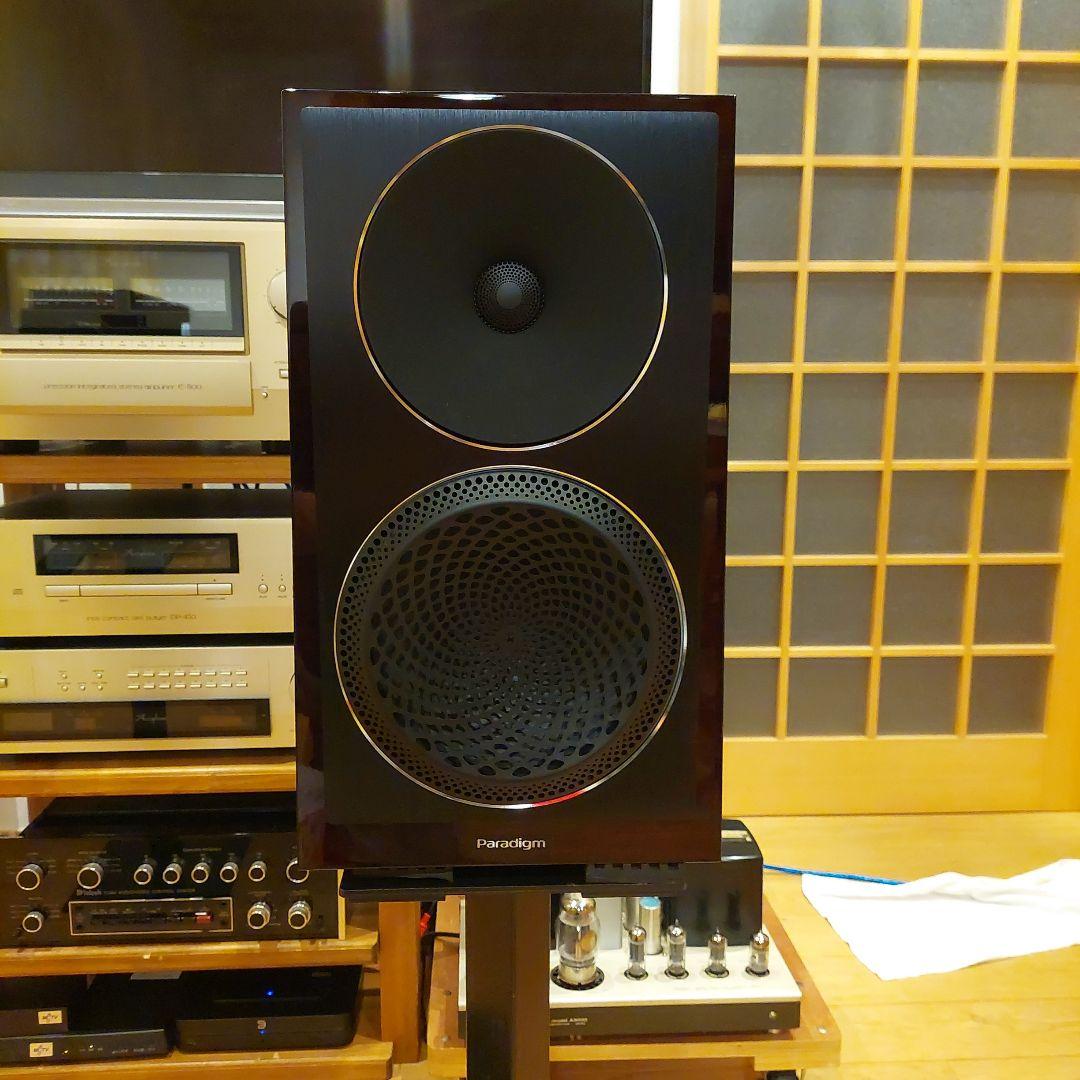 ⭐美品　Paradigm Founder 40B 使用わずか❗⭐