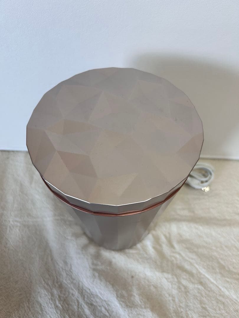 1213 YA-MANヤーマン フォトスチーマー IS-100P