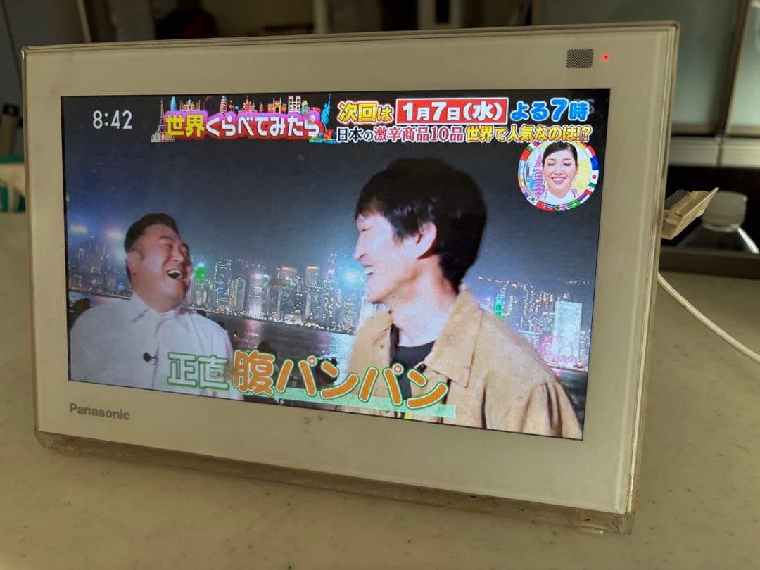 Panasonic プライベートビエラ UN-10E6D ポータブルテレビ