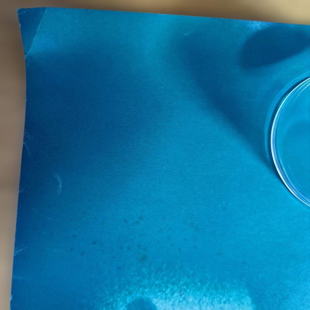 1972年 札幌冬季オリンピック 公式 ポスター 4枚セット