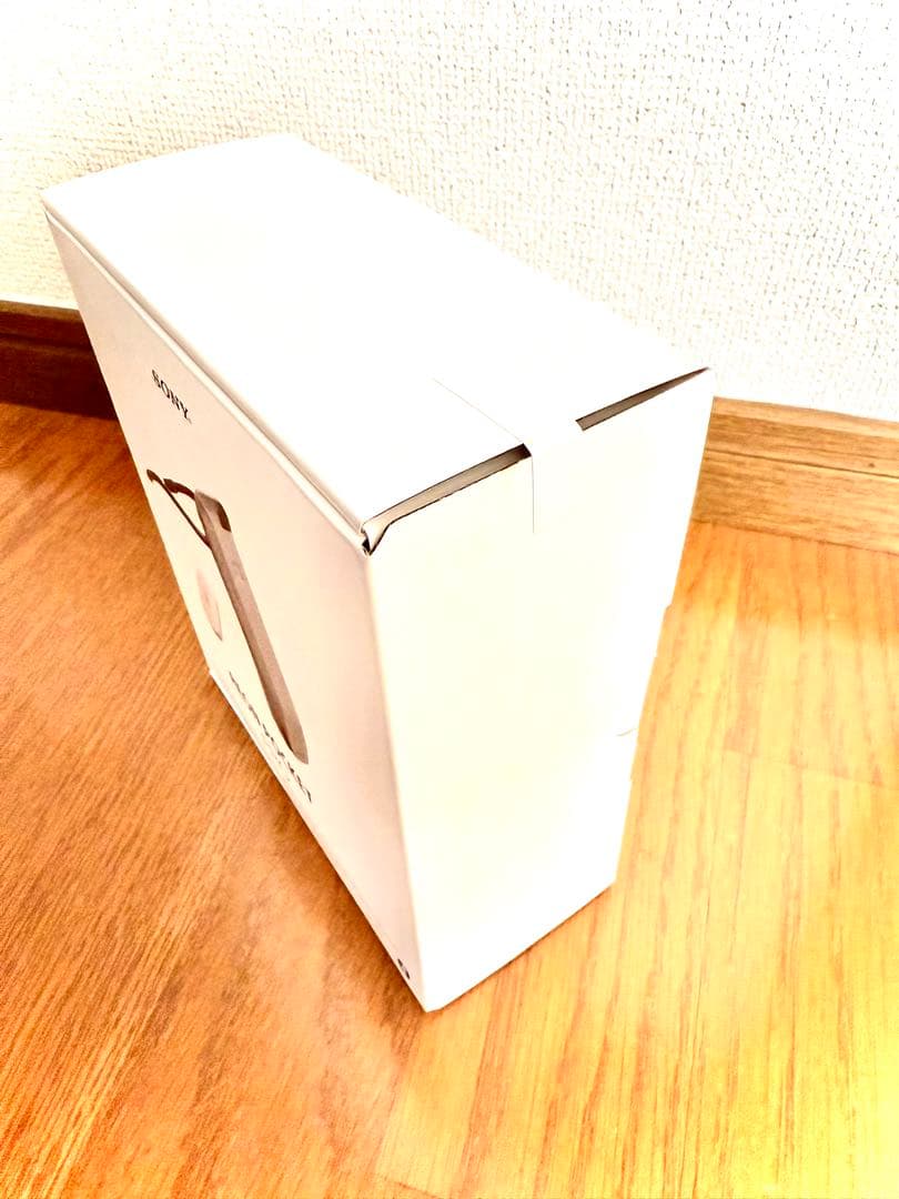 新品未使用品　レオンポケットプロ Reon Pocket pro