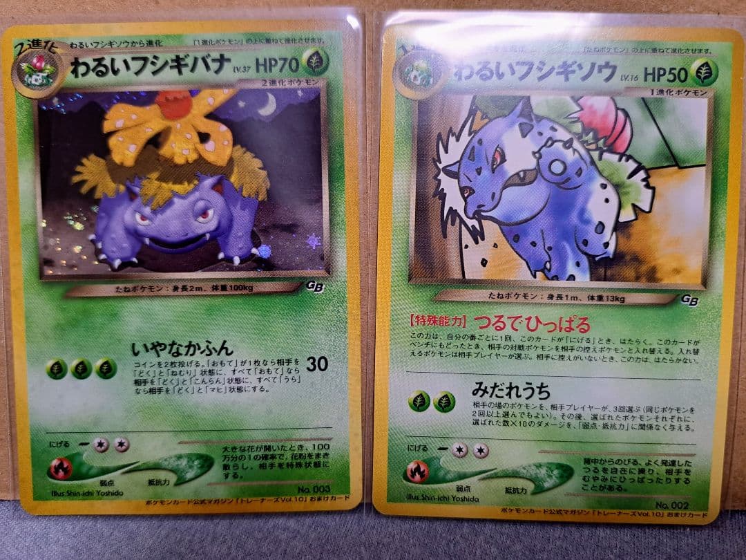 わるいフシギソウ＆わるいフシギバナ