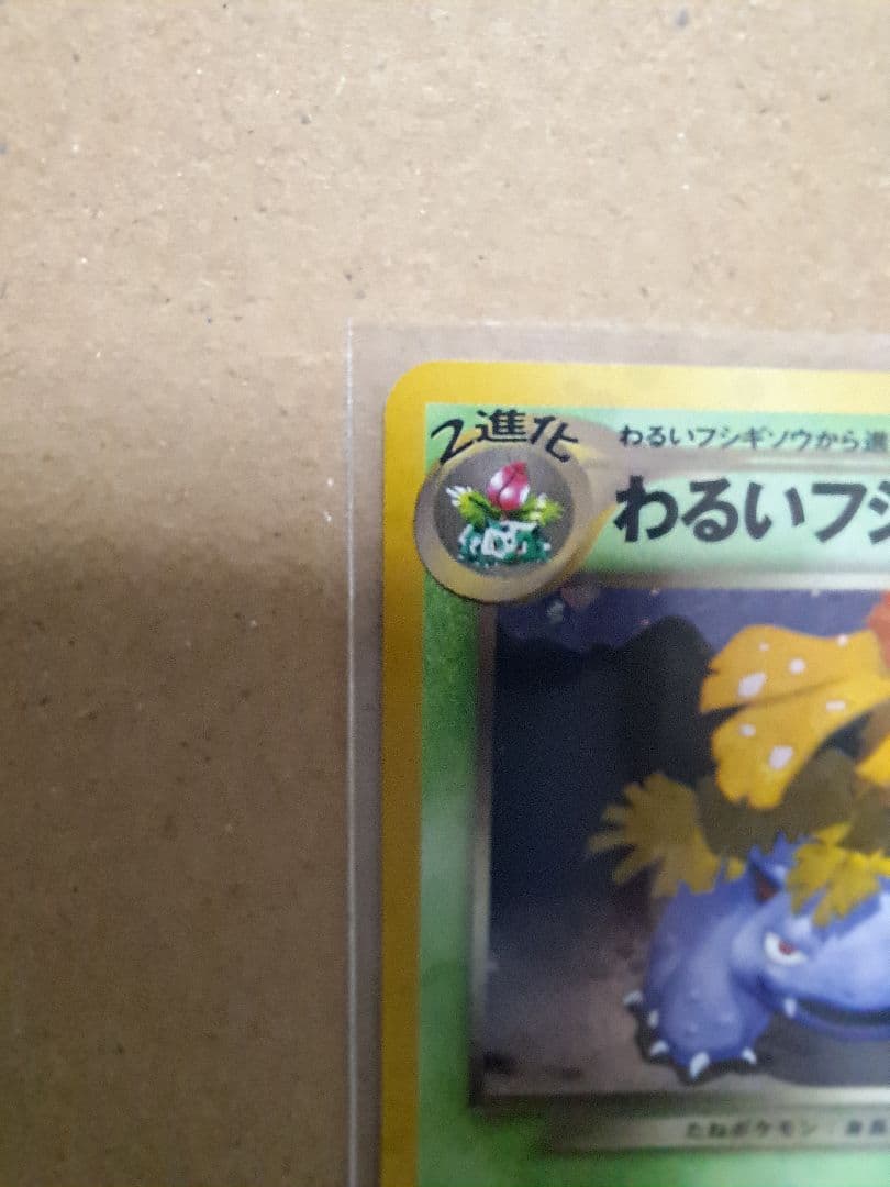 わるいフシギソウ＆わるいフシギバナ