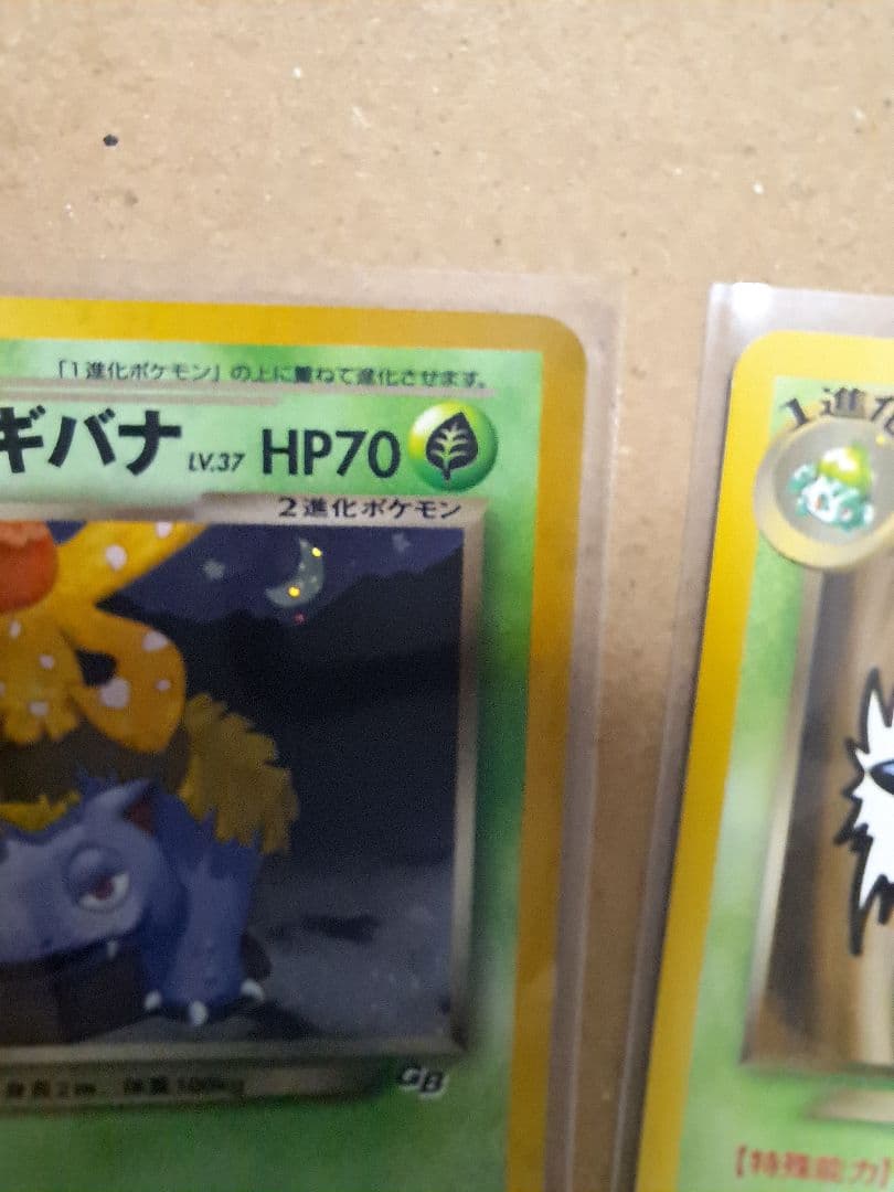 わるいフシギソウ＆わるいフシギバナ