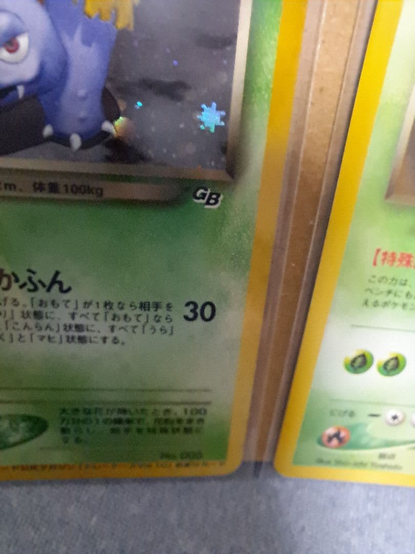 わるいフシギソウ＆わるいフシギバナ