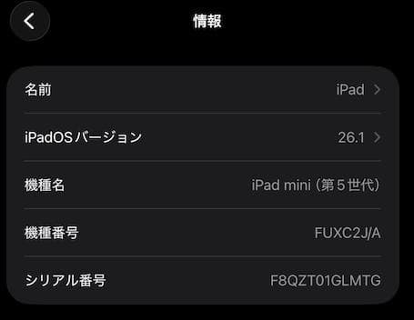 iPad mini5 Wi-Fi+Cellular 256GB 大容量 セルラー