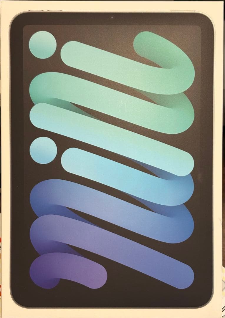 iPad mini(第7世代) 256GB Wi﻿-﻿Fi スペースグレイ