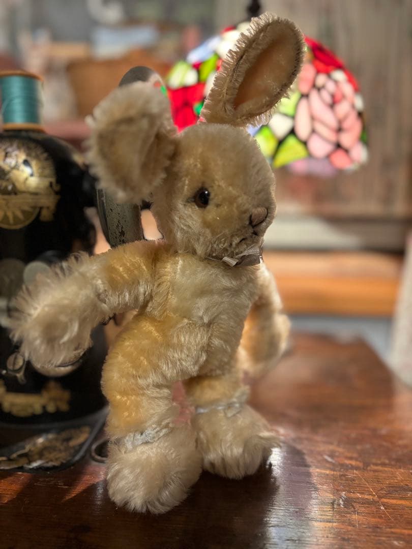 シュタイフBaby Rabbit sassy