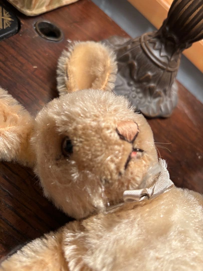 シュタイフBaby Rabbit sassy