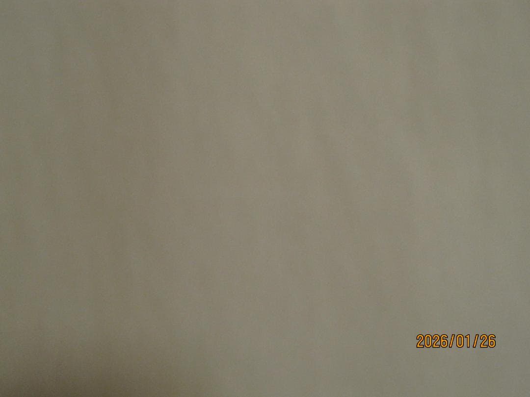 Canon キヤノン IXY DIGITAL 510IS ゴールド