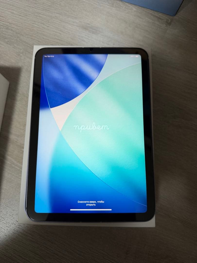 iPad miniセルラーモデル64GB 第6世代