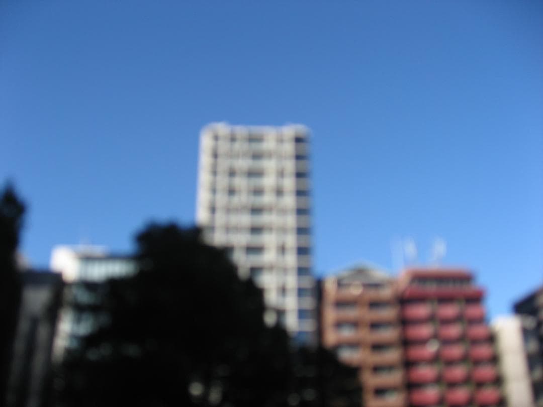 【スマホ転送OK】キャノン Canon IXY DIGITAL 800 IS