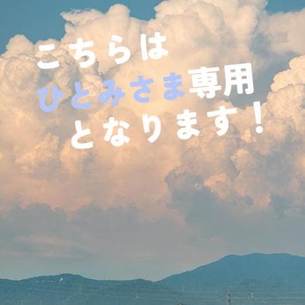 【ひとみさま専用】