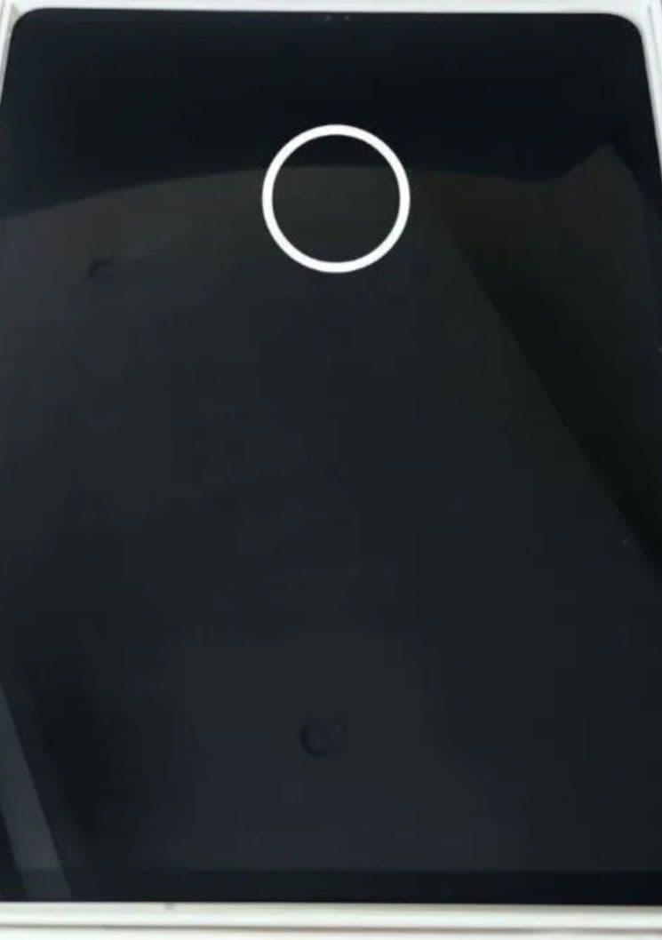 超激安 iPad Pro 12.9 Cellular 256GB第6世代