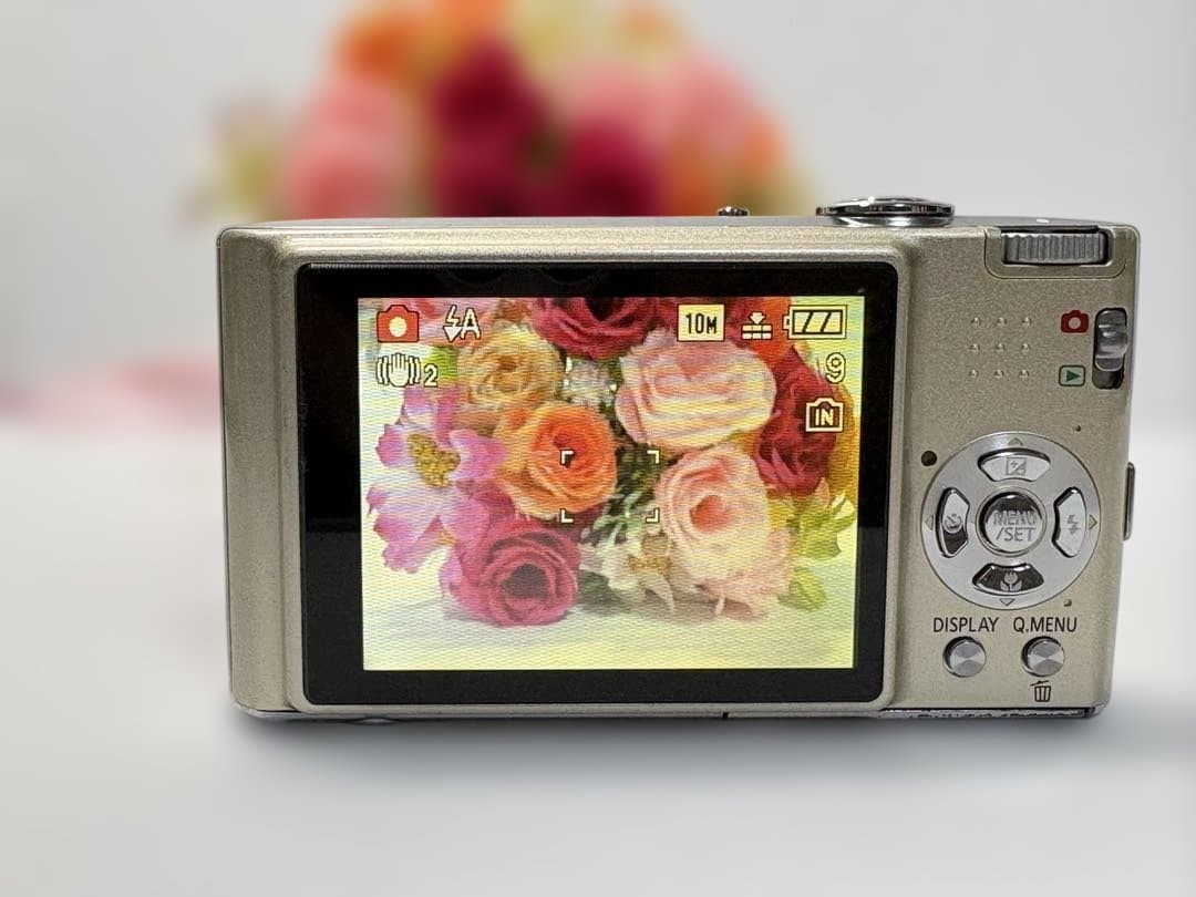 Panasonic LUMIX DMC-FX35 コンパクトカメラ コンデジ