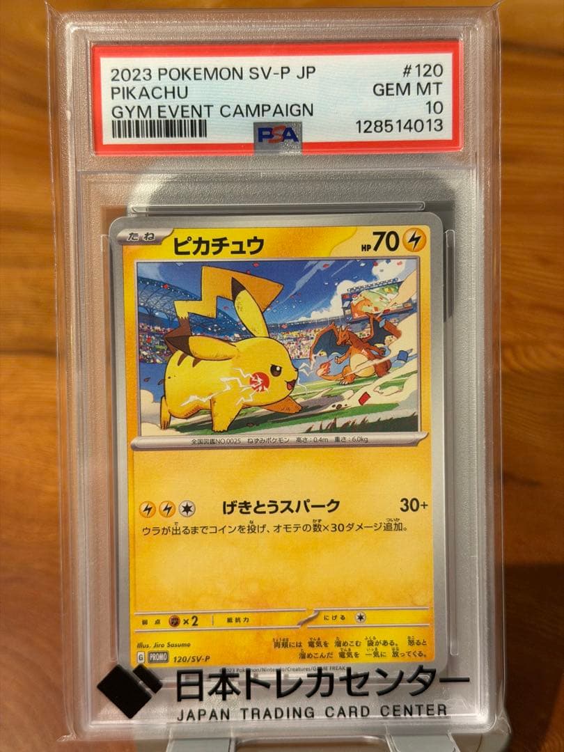 【PSA10】2023 ピカチュウ GYM EVENT CAMPAIGN