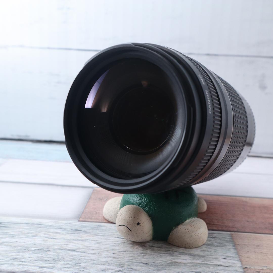 ✨望遠レンズ✨Canon レンズ EF 75-300mm Ⅱ