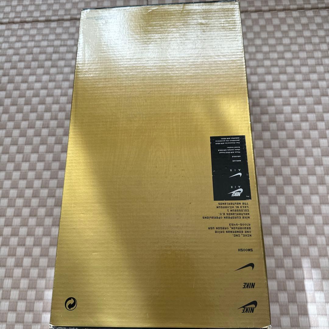 NIKE SB DUNK Low Strummer Before ストラマー