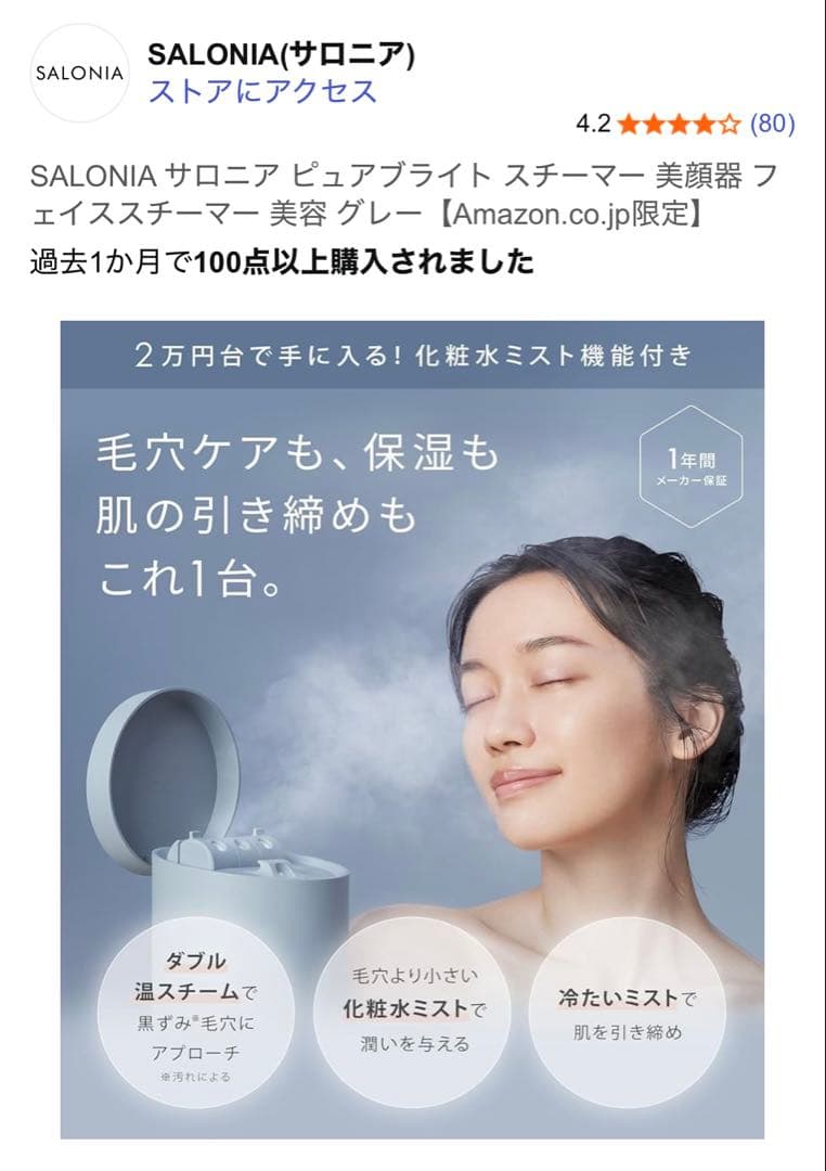 SALONIA PURE BRIGHT STEAMER グレー