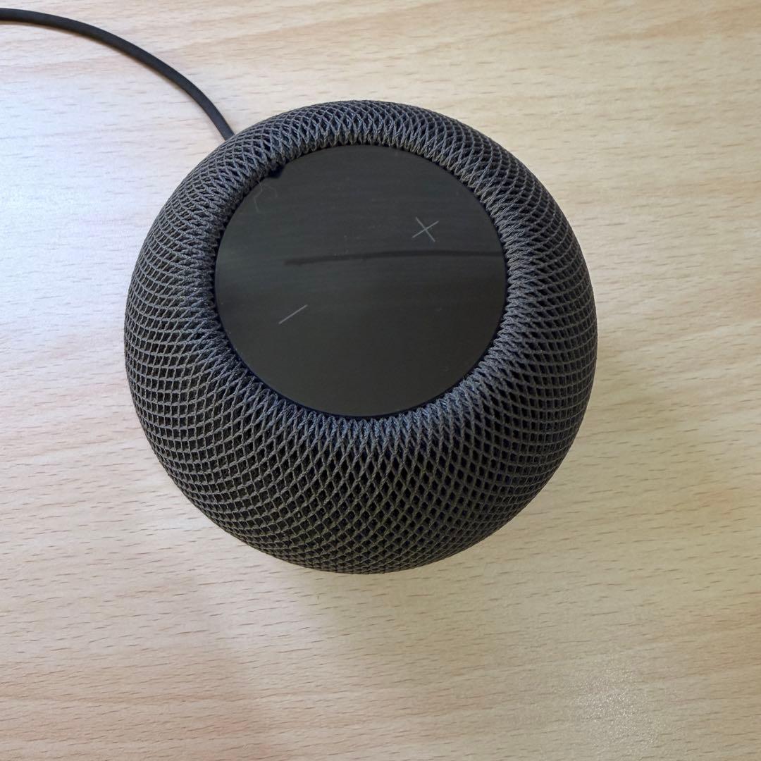 Pod mini MY5G2J/A [スペースグレイ]