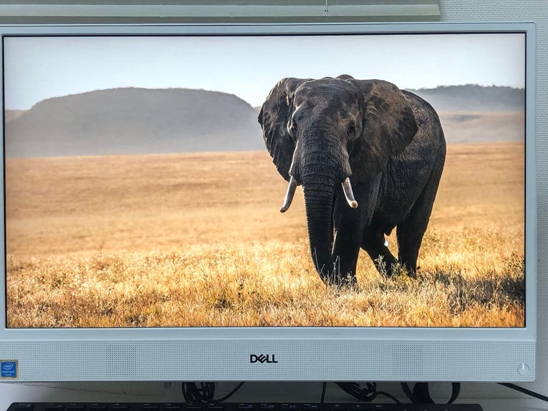 DELL AIO 22-3280 メ8GB SSD256 Office2021