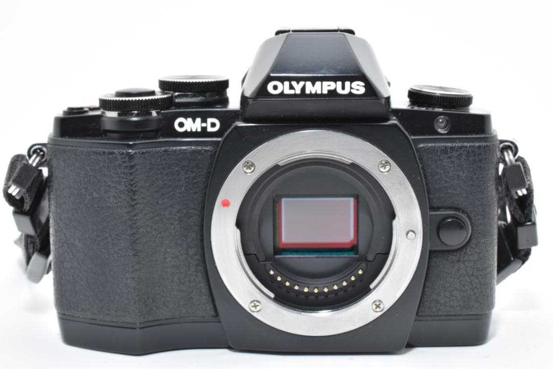 ★美品★オリンパス OLYMPUS OM-D E-M10 ボディ #21608