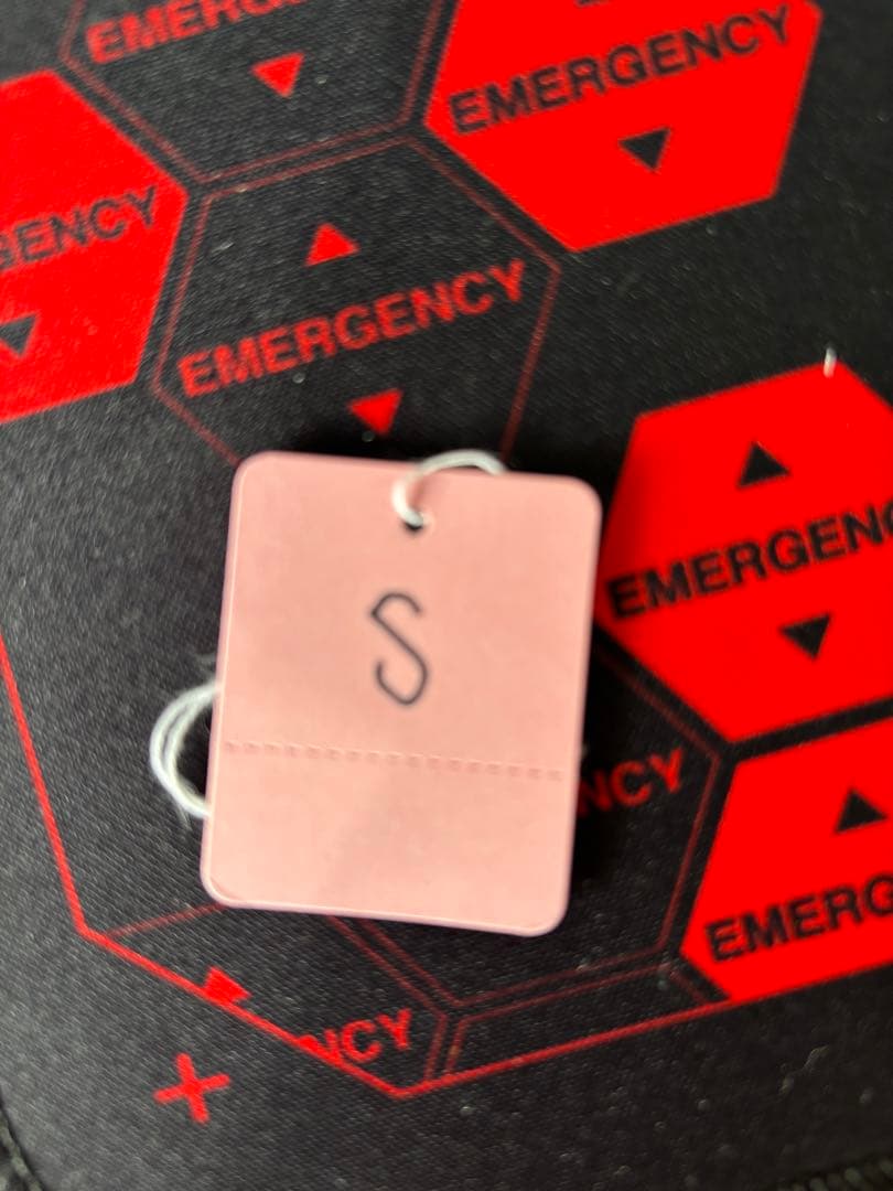 THE NORTH FACE ファー付きロングダウンジャケット