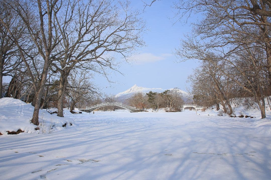 TAMRON AF 28-300mm F3.5-6.3 LD（EFマウント）