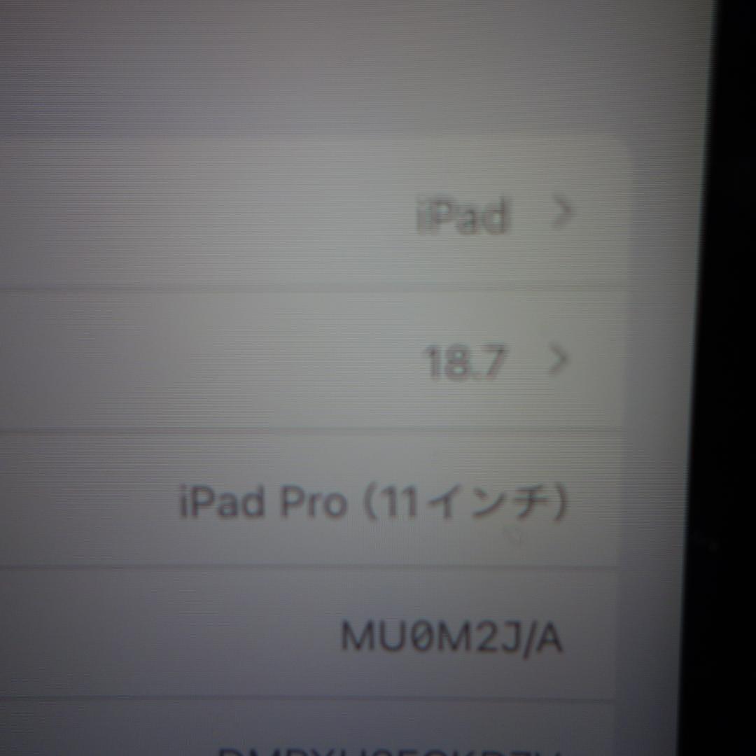 295）iPad PRO 11インチ 第1世代 64GB MU0M2J/A