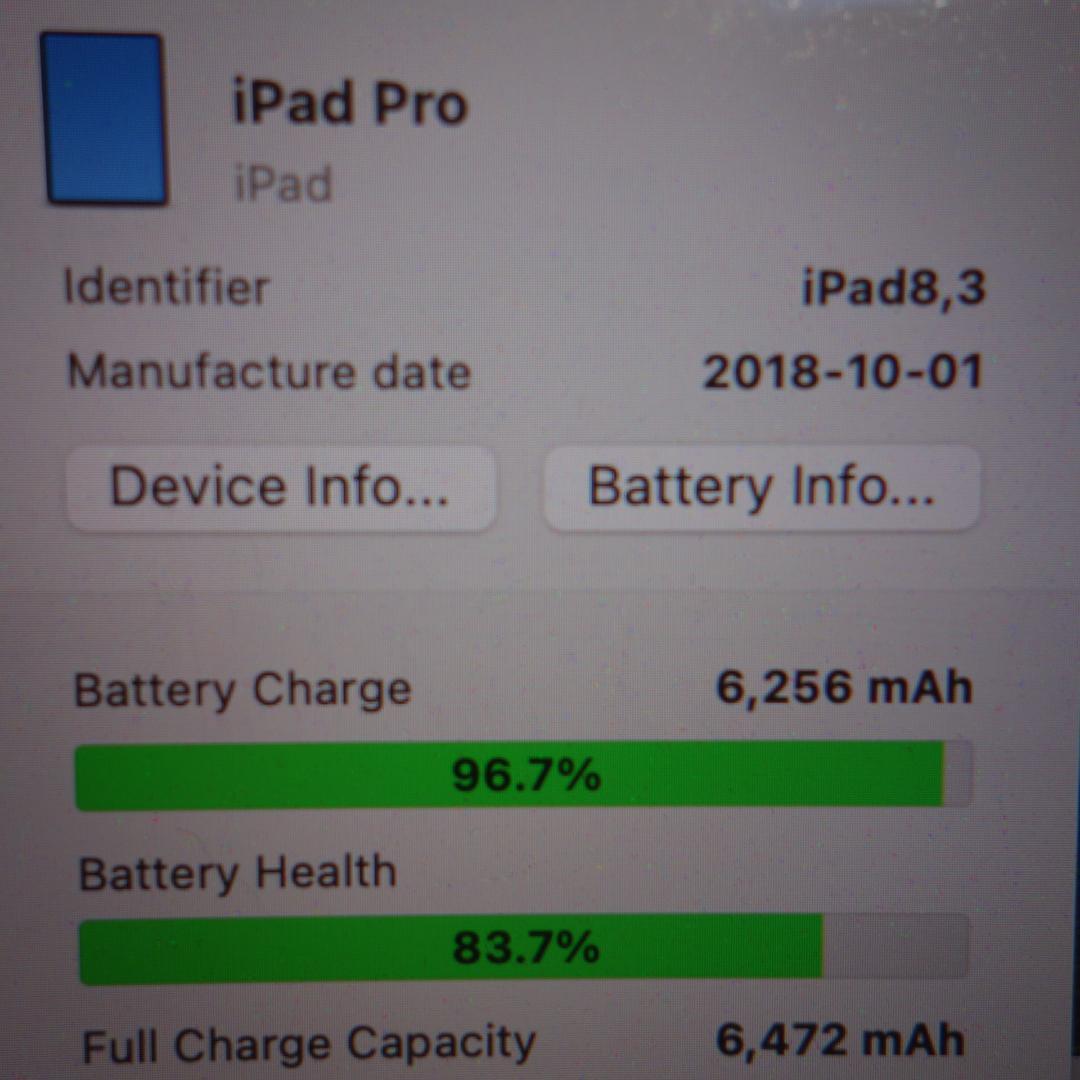 295）iPad PRO 11インチ 第1世代 64GB MU0M2J/A