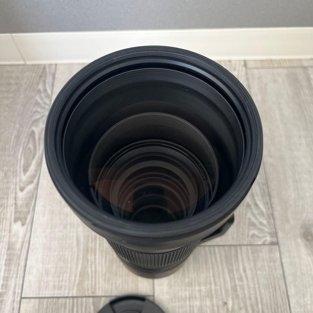 ⭐︎SIGMA 150-600mm F5-6.3 DG EFマウント