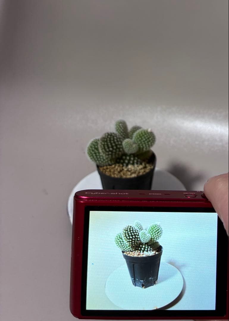 あこSony Cyber-shot DSC-WX300 ピンク