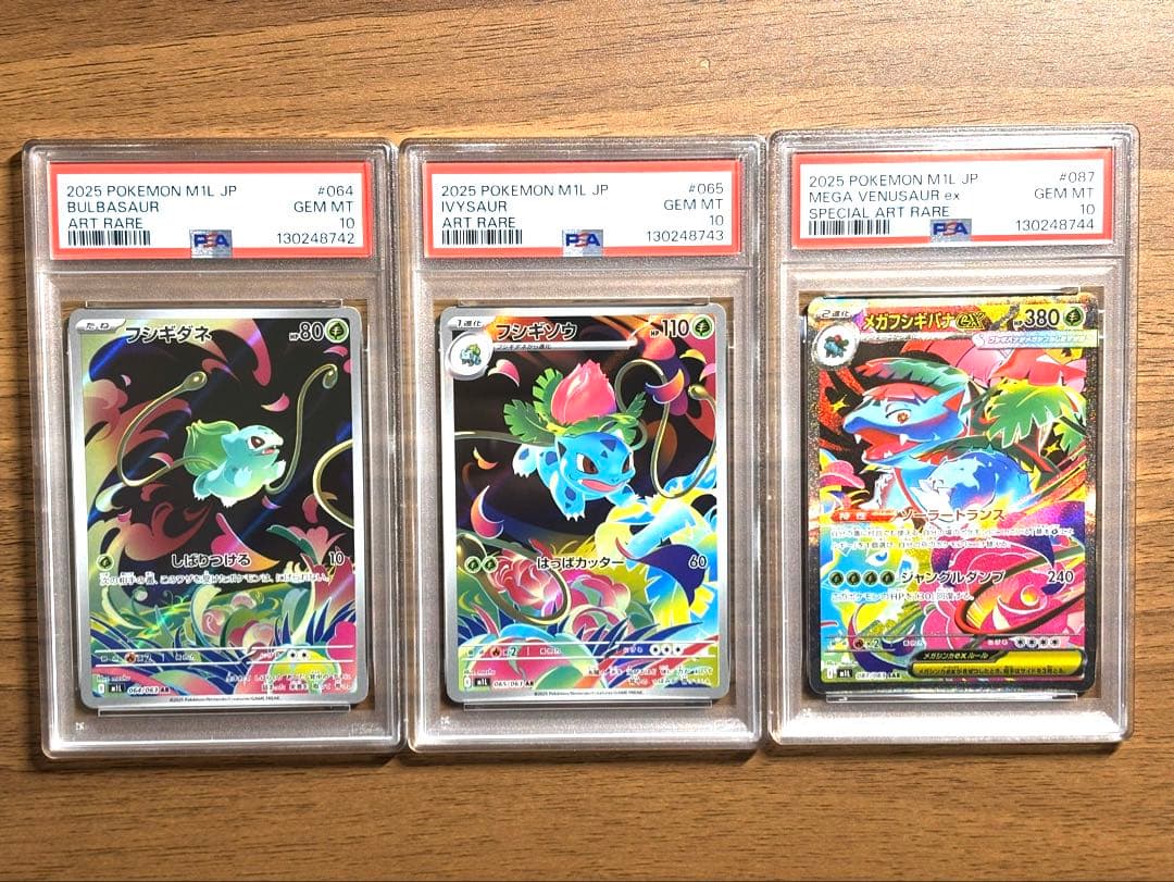 【PSA10 3連番】メガフシギバナex SAR メガブレイブ 進化ライン