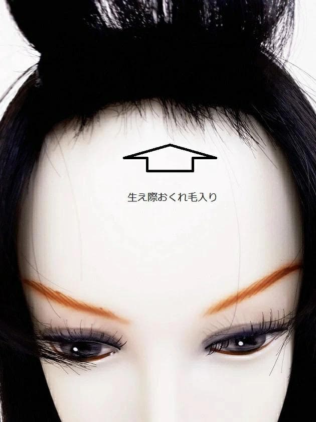 総手植え全頭かつら 人毛100%EM-50001ダークブラウン Sサイズ 医療用