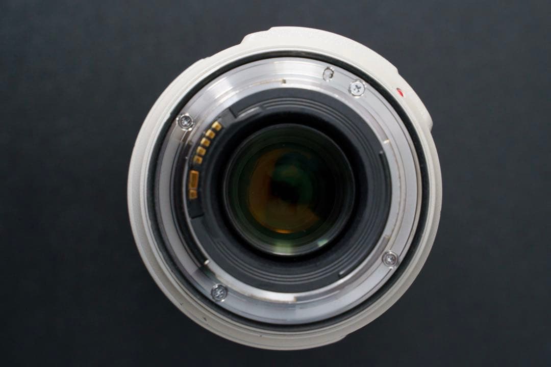 CANON EF70-300mm F4-5.6L IS USM 元箱付き