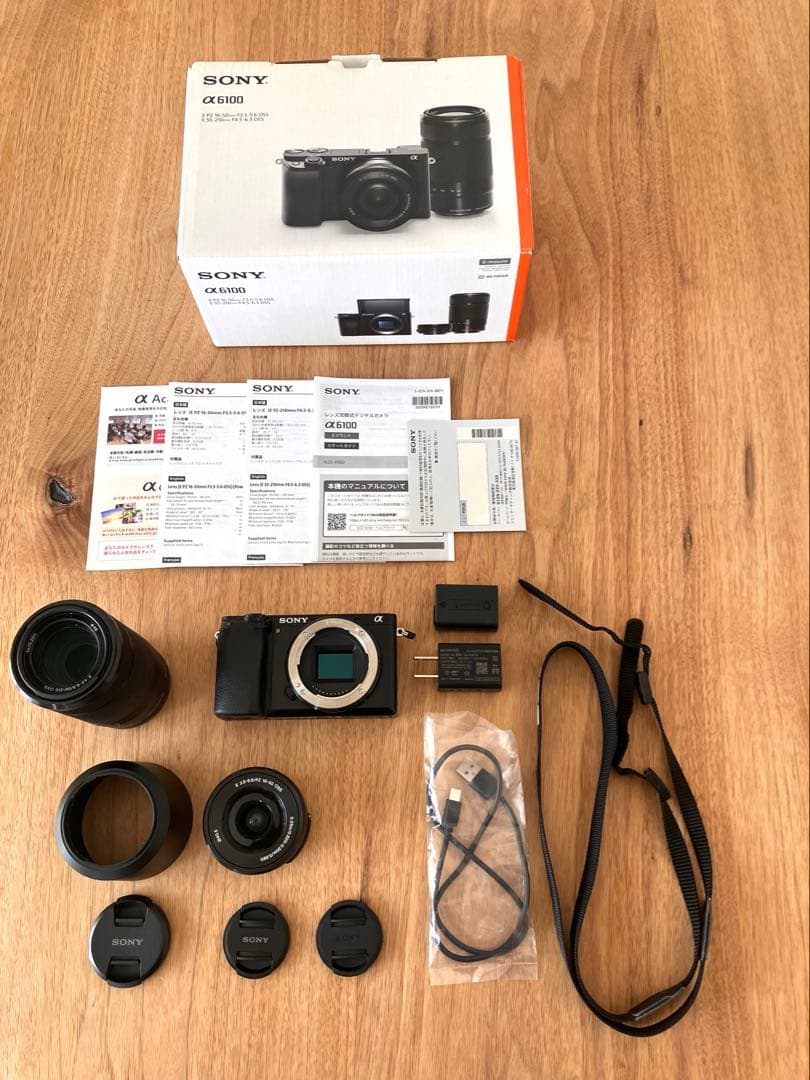 Sony α6100 ミラーレス一眼 本体 + ダブルズームレンズキット