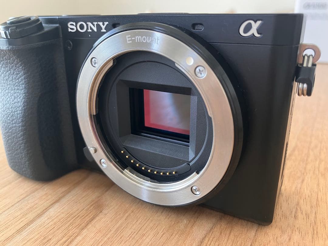 Sony α6100 ミラーレス一眼 本体 + ダブルズームレンズキット