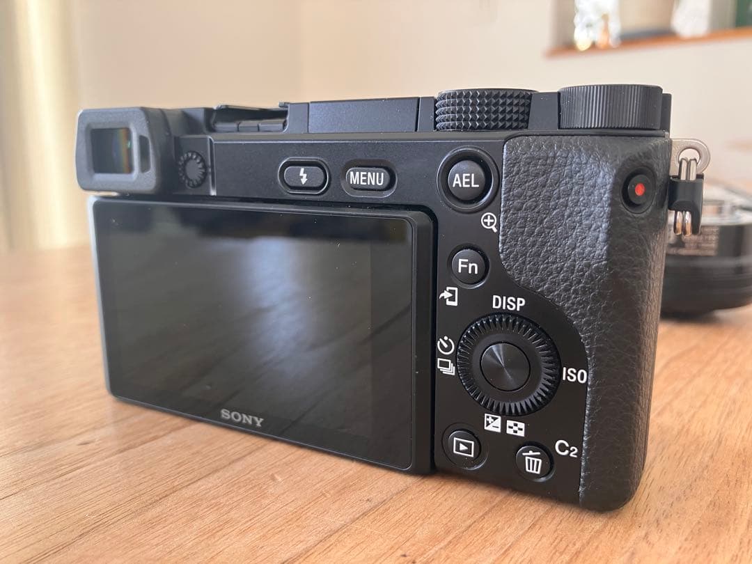 Sony α6100 ミラーレス一眼 本体 + ダブルズームレンズキット