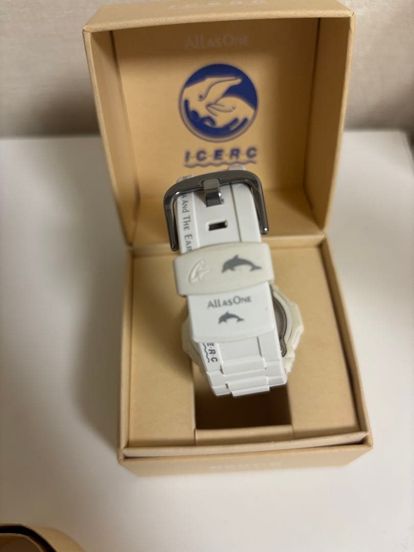 BABY-G イルクジ BGR-3000UK 電波ソーラー