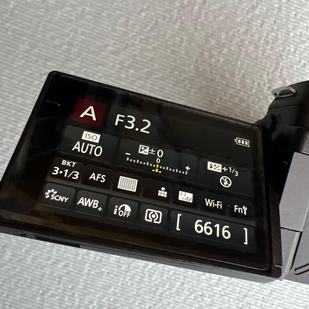 Panasonic LUMIX DMC-FZ300 ショット数3302回