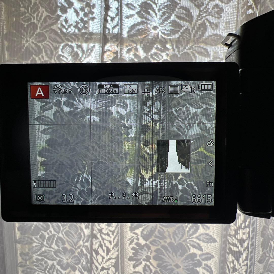 Panasonic LUMIX DMC-FZ300 ショット数3302回