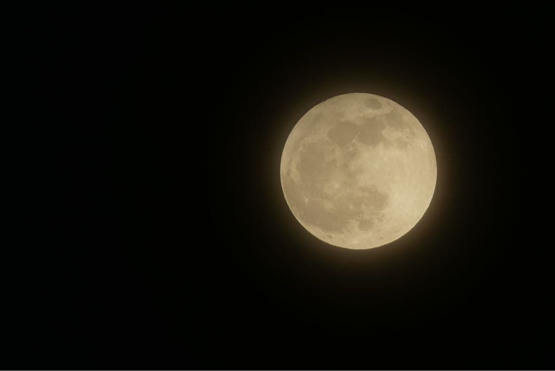 Panasonic LUMIX DMC-FZ300 ショット数3302回