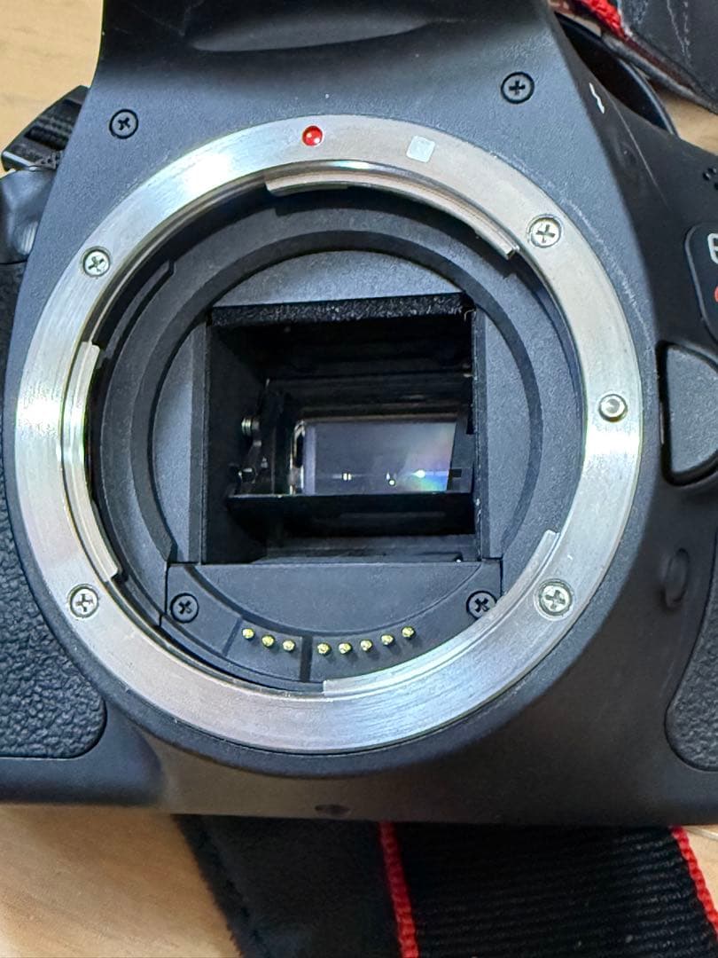 年末年始特別価格‼️Canon EOS Kiss X5 ダブルズームキット