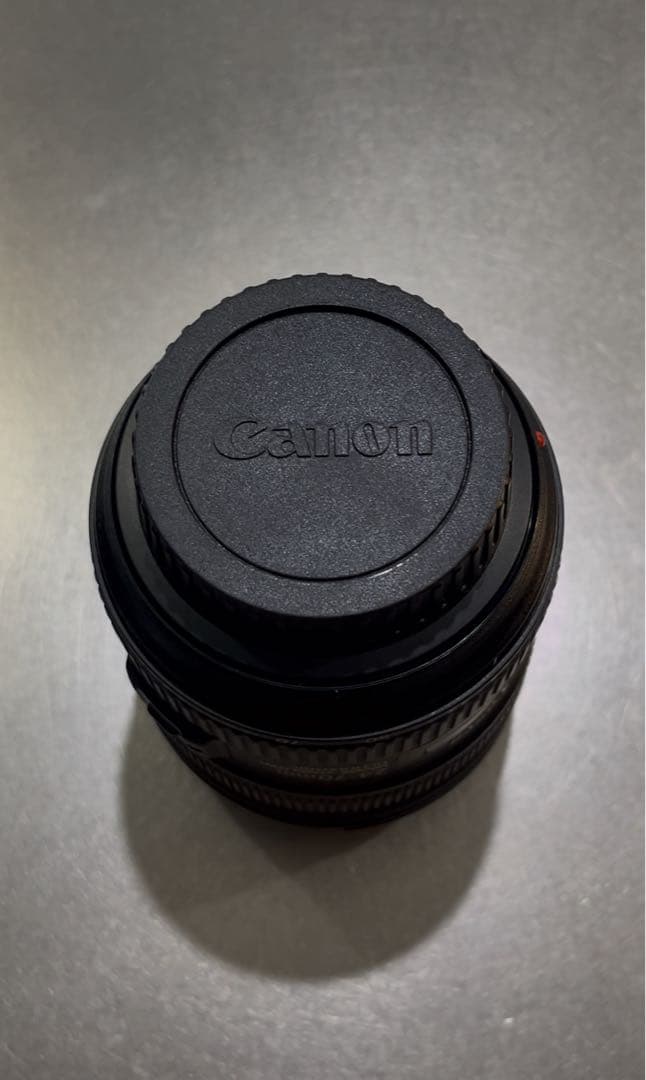 レンズ(ズーム) Canon EF24-70mm F4 L IS USM Kenko Pro1D