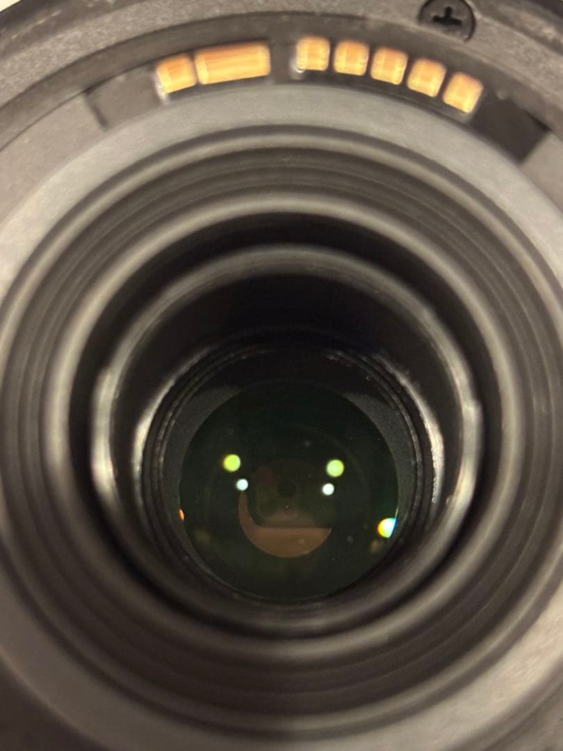 Canon EF-S 55-250mm ズームレンズ