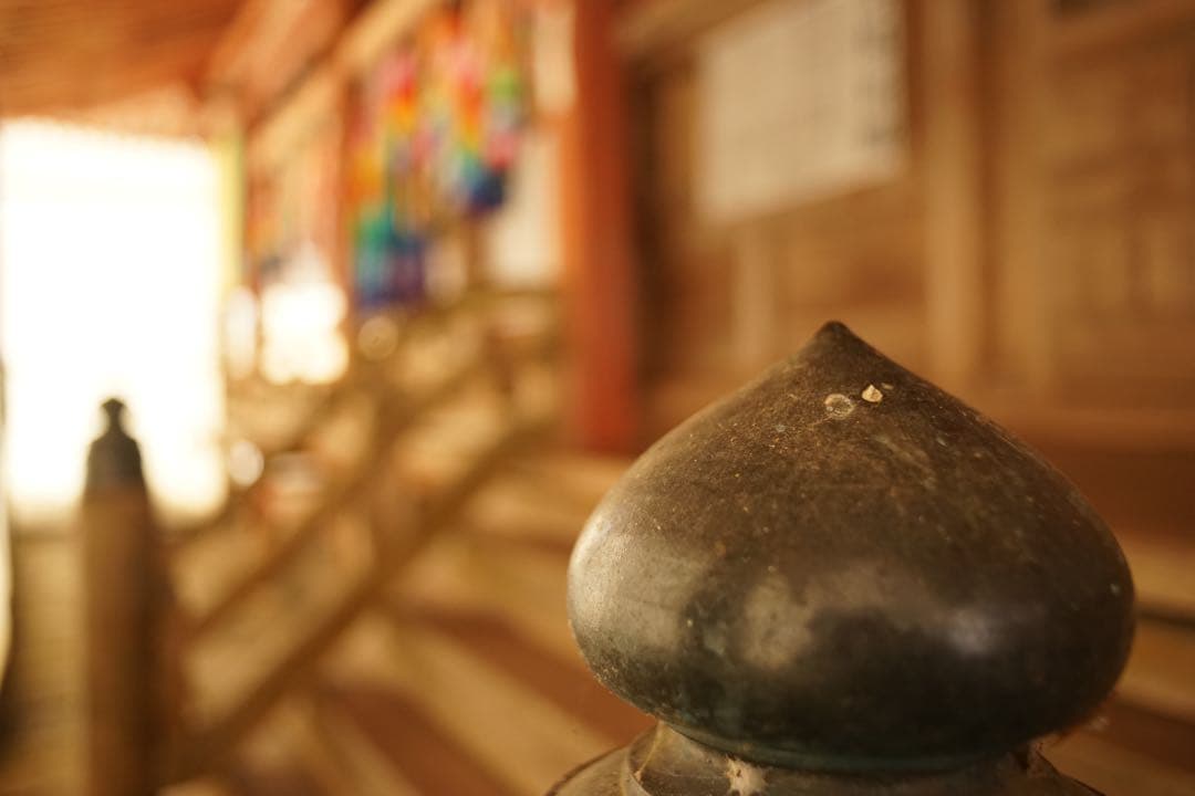 作例付き　Nikon Ai 28mm F2.8 管mpr NIKKOR