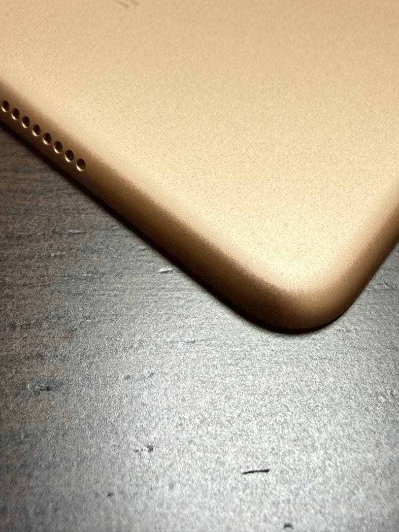 iPad mini 5 Wi-Fiモデル64GB バッテリー91%