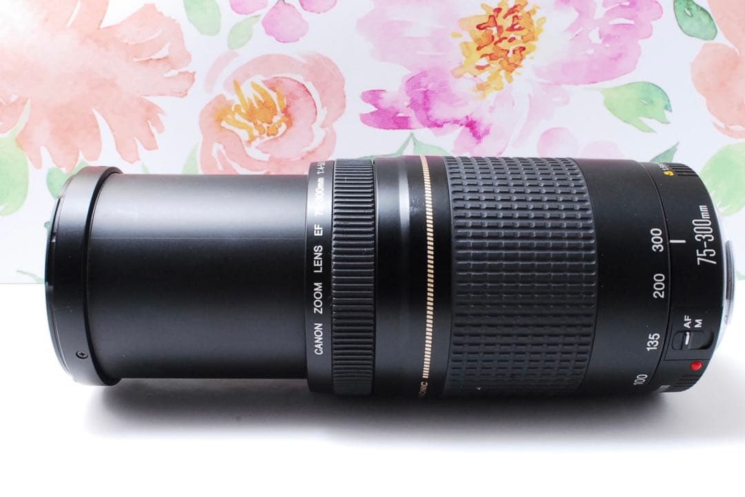 人気の望遠レンズ✨Canon EF75-300㎜ スポーツ イベント 運動会