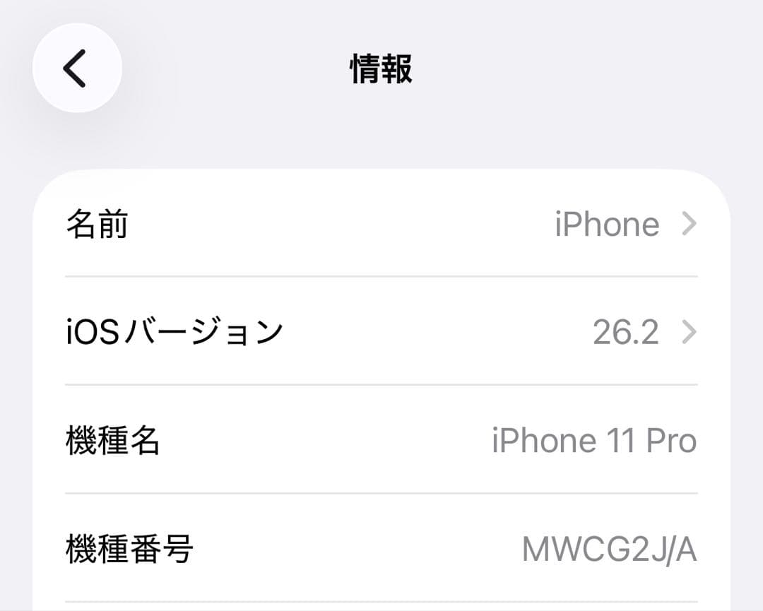 SimフリーApple iPhone 11 Pro 512GB ケース付
