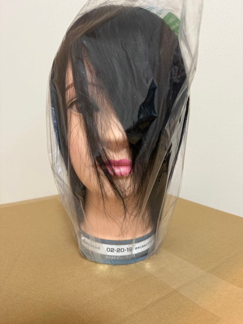 国家試験用カットウィッグ6体セット